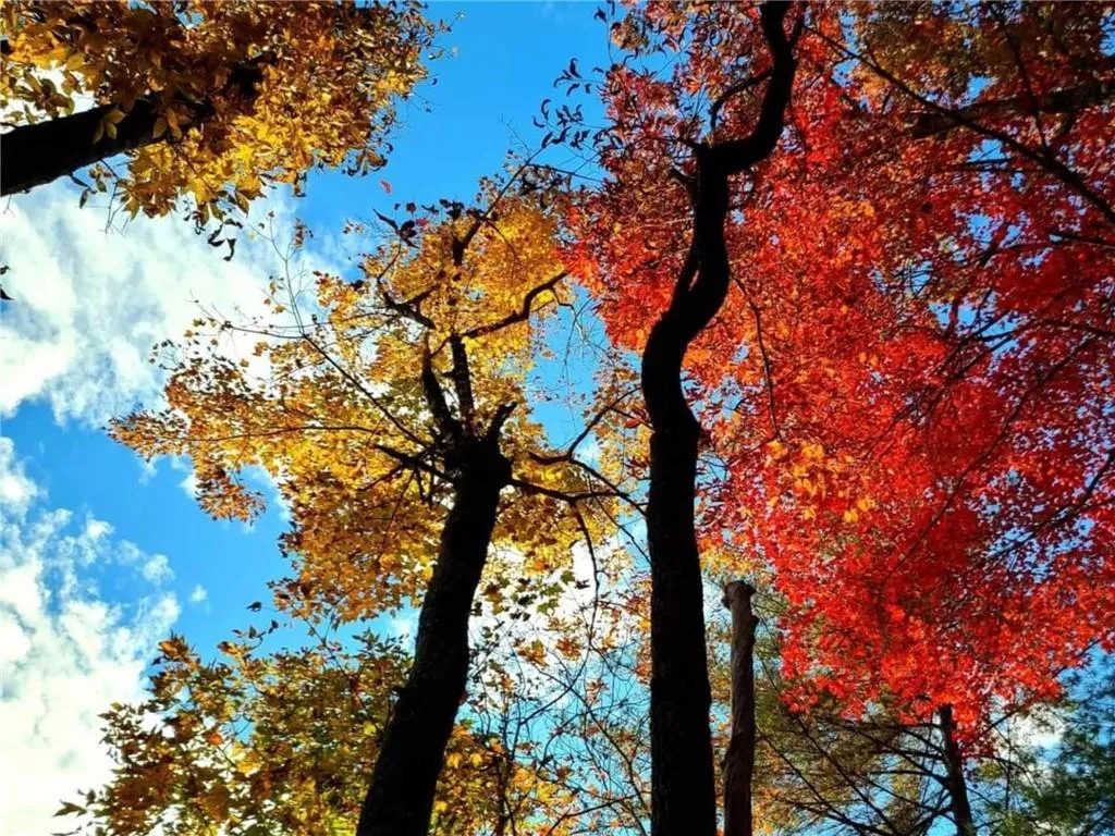 Blairsville, Georgia 30512, United States, 2 Bedrooms Bedrooms, ,2 BathroomsBathrooms,Residential,Active,6676