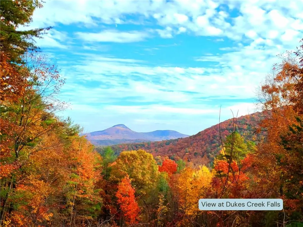 Blairsville, Georgia 30512, United States, 2 Bedrooms Bedrooms, ,2 BathroomsBathrooms,Residential,Active,6676