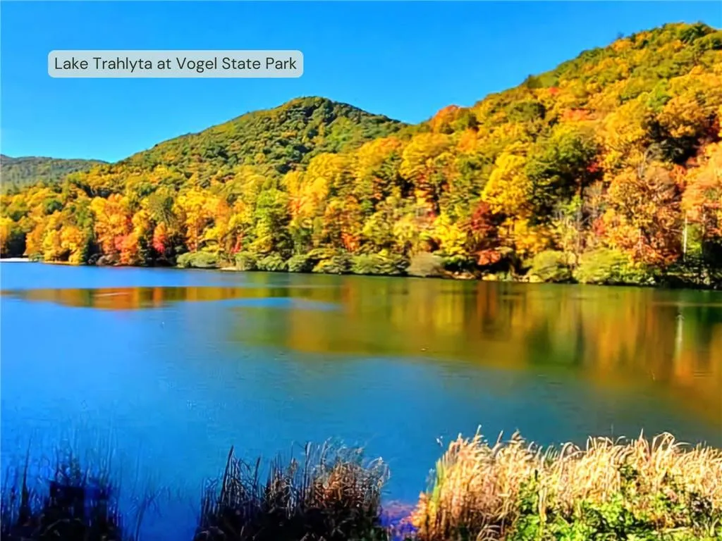 Blairsville, Georgia 30512, United States, 2 Bedrooms Bedrooms, ,2 BathroomsBathrooms,Residential,Active,6676