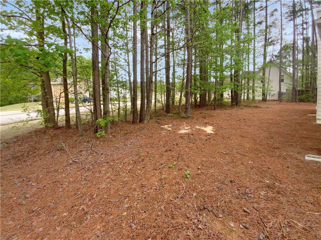 1415 Turnbridge Walk, Hampton, Georgia image 19