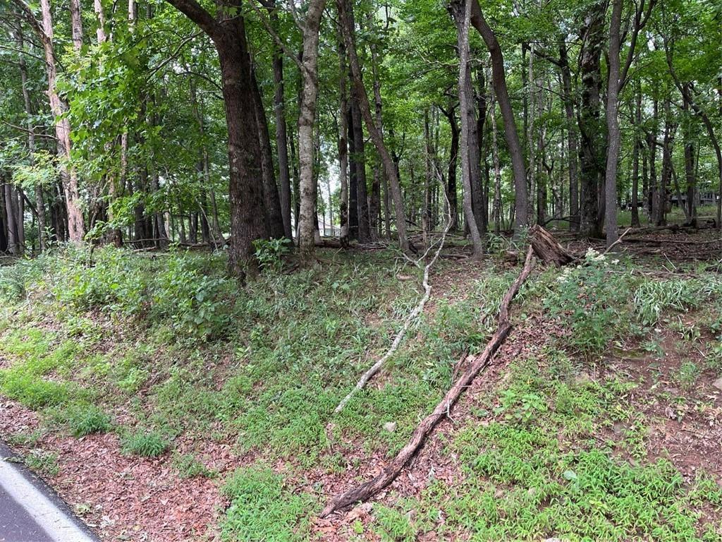 1918 Big Stump Mountain Trail, Jasper, Georgia image 2