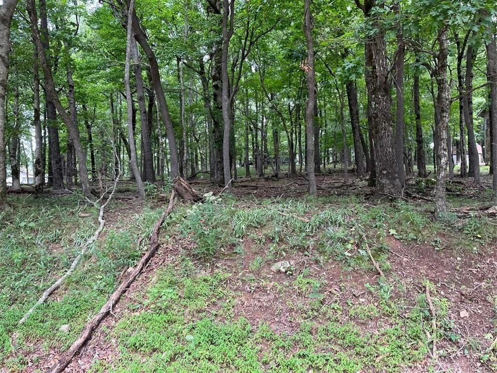 1918 Big Stump Mountain Trail