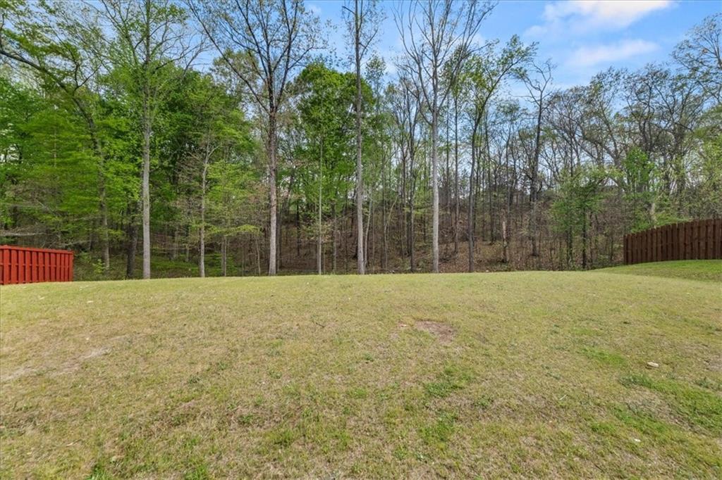 60 Silver Peak Drive, Covington, Georgia image 44