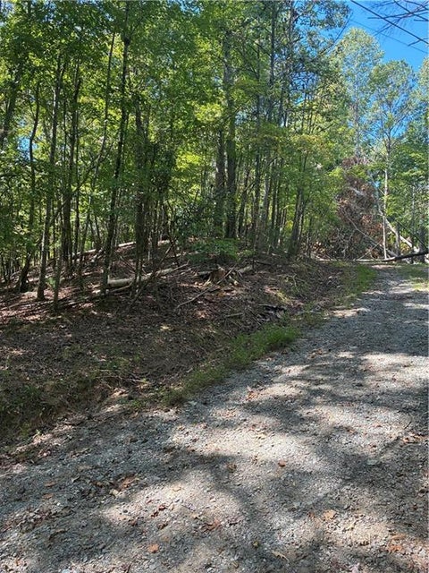 Vacant Land For Sale - 00 Miramar Drive<br/> Ellijay, GA 30540
