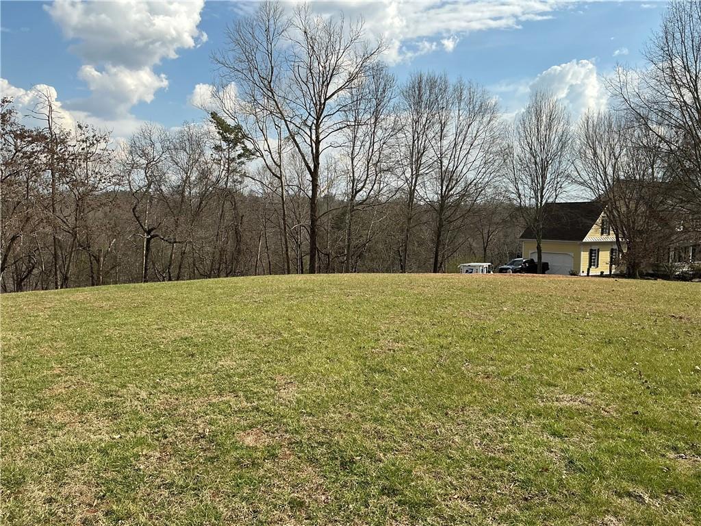 Stamp Mill Drive, Dahlonega, Georgia image 11
