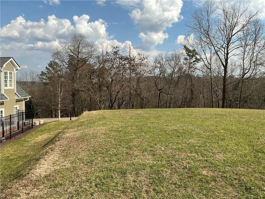 Stamp Mill Drive, Dahlonega, Georgia image 12