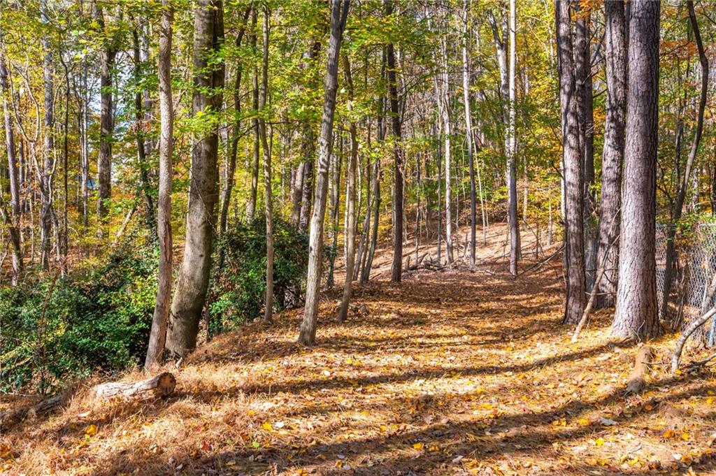 Holcomb Springs - Residential