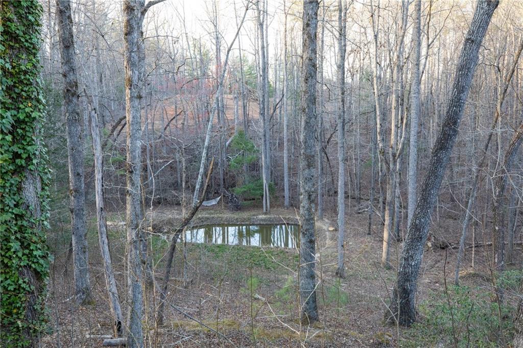 98 Deer Walk, Talking Rock, Georgia image 27