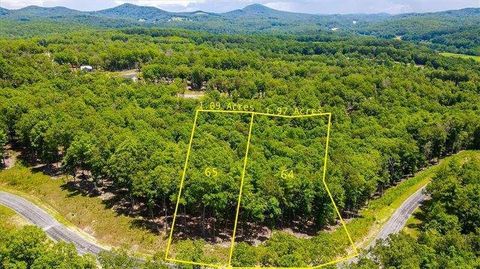 Vacant Land For Sale - Ridge Drive<br/> Morganton, GA 30560
