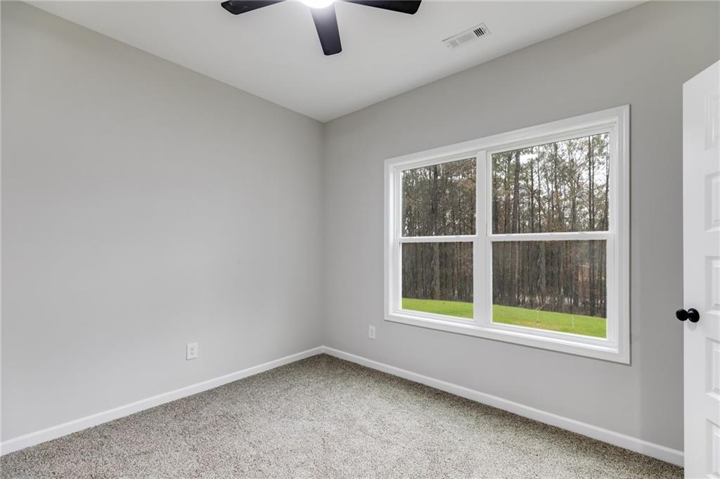 305 Blueberry Hill Lane, Franklin, Georgia image 18