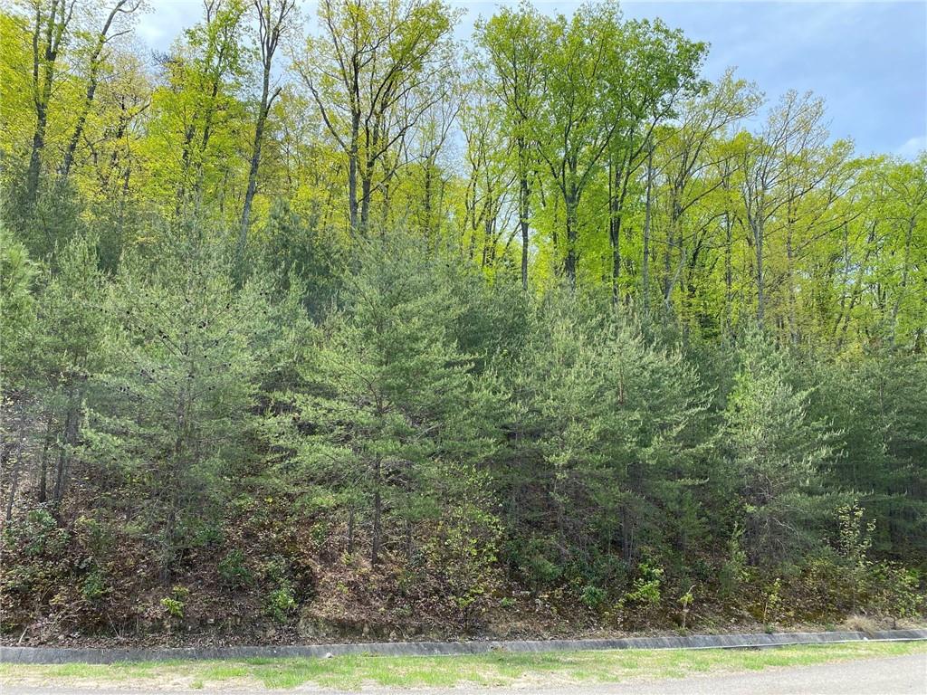 296 Ridgeside Court