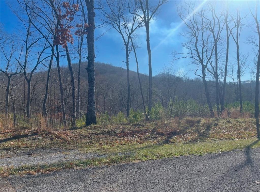 Yonah Lake Drive, Sautee Nacoochee, Georgia image 10