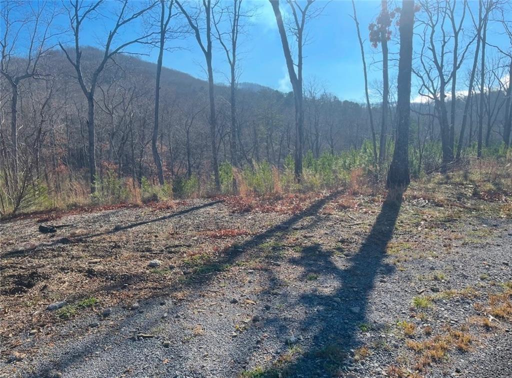 Yonah Lake Drive, Sautee Nacoochee, Georgia image 13