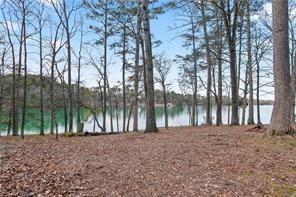 6337 Ansel Court, Buford, Georgia image 26