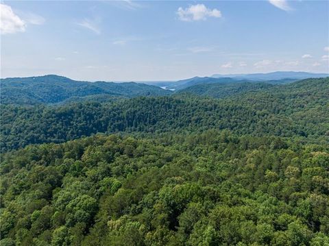 Vacant Land For Sale - 363 Luna Court<br/> Ranger, GA 30734