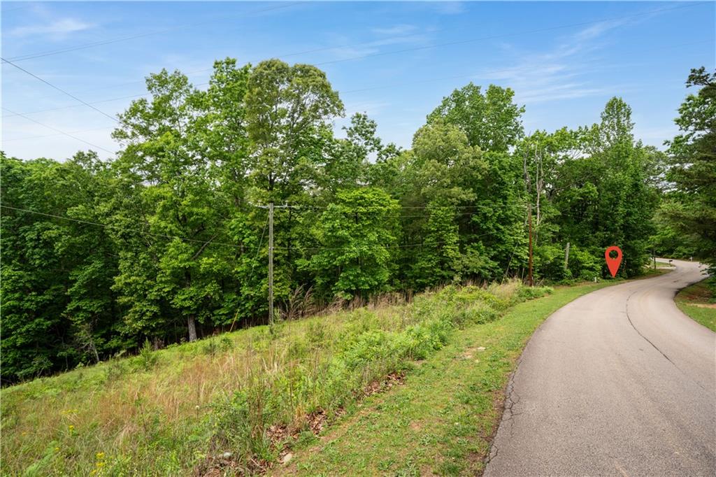3843 Skyline Drive, Gainesville, Georgia image 4