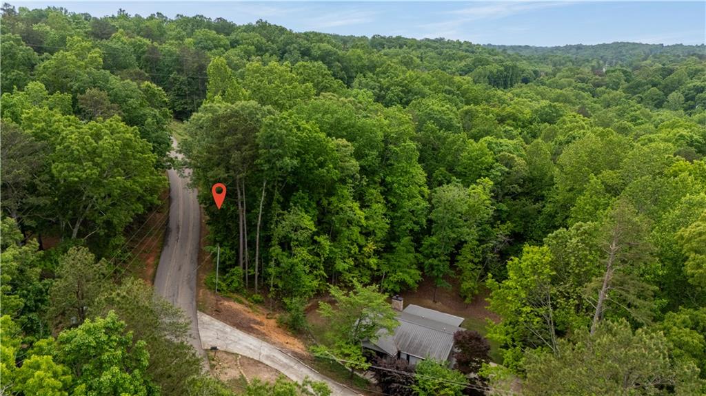 3843 Skyline Drive, Gainesville, Georgia image 11