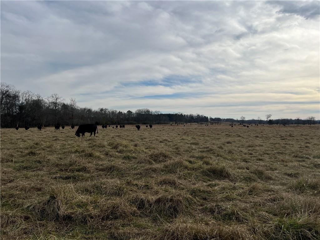 Taylor Bridge Road, Calhoun, Georgia image 17