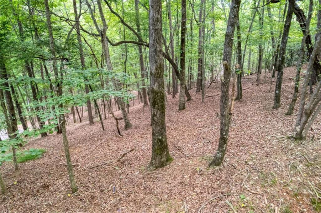 90 Cardinal Cove, Big Canoe, Georgia image 4