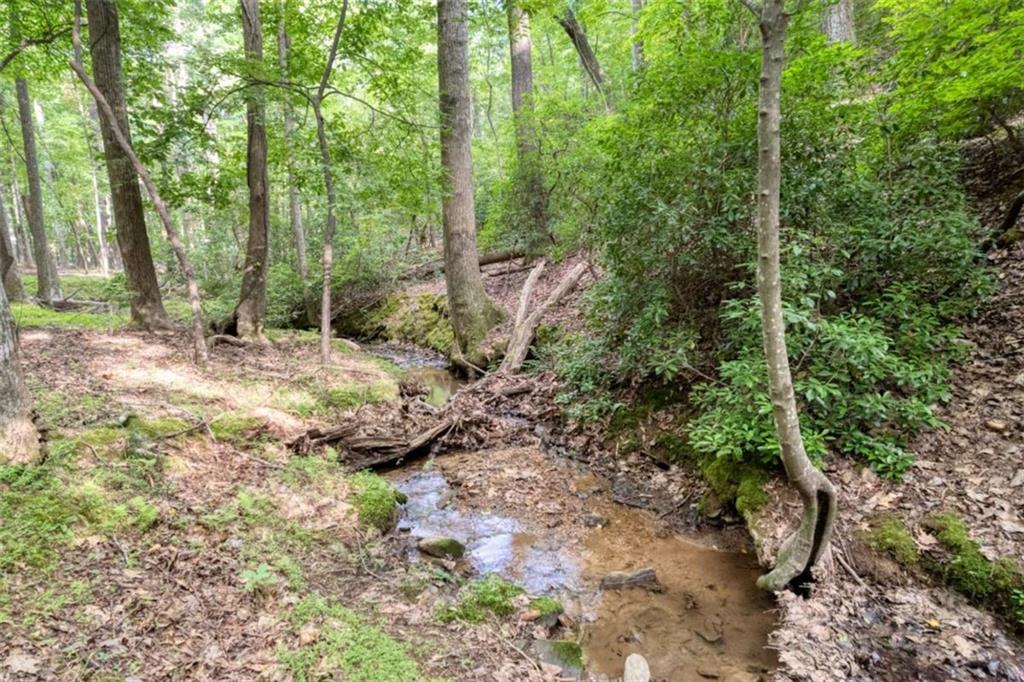90 Cardinal Cove, Big Canoe, Georgia image 7