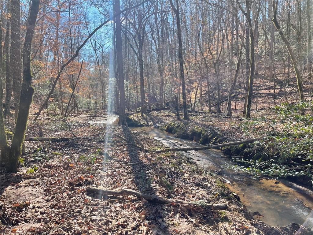 Shelter Cove Trail, Talking Rock, Georgia image 23