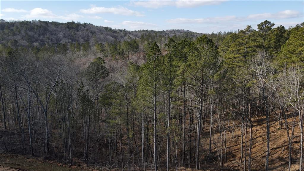 Shelter Cove Trail, Talking Rock, Georgia image 18