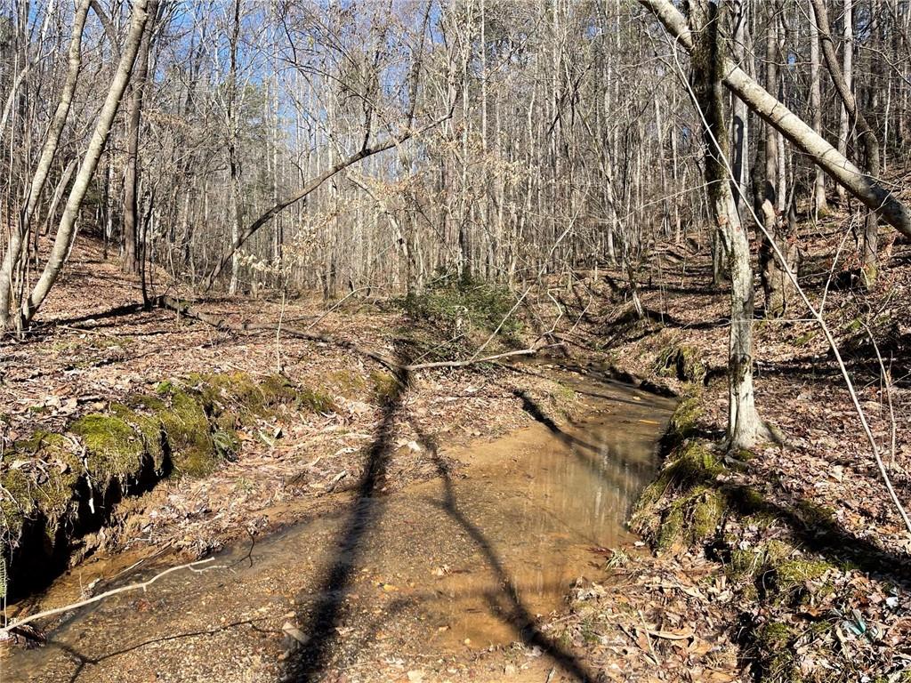 Shelter Cove Trail, Talking Rock, Georgia image 24