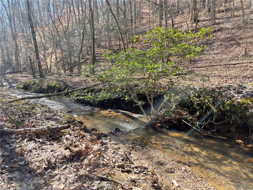 Shelter Cove Trail, Talking Rock, Georgia image 22