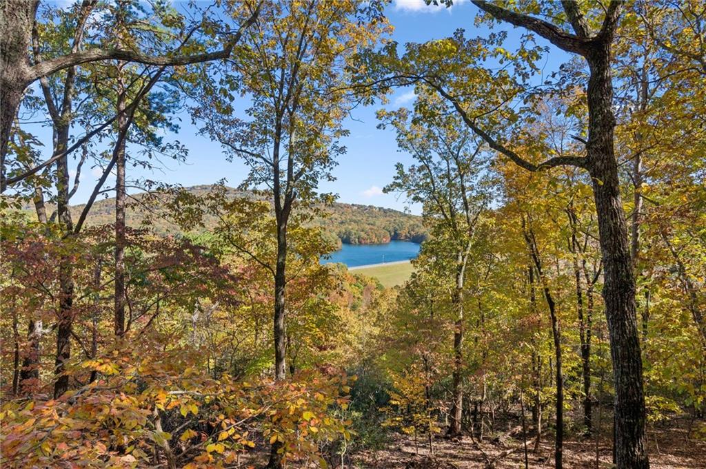 Big Canoe - Residential