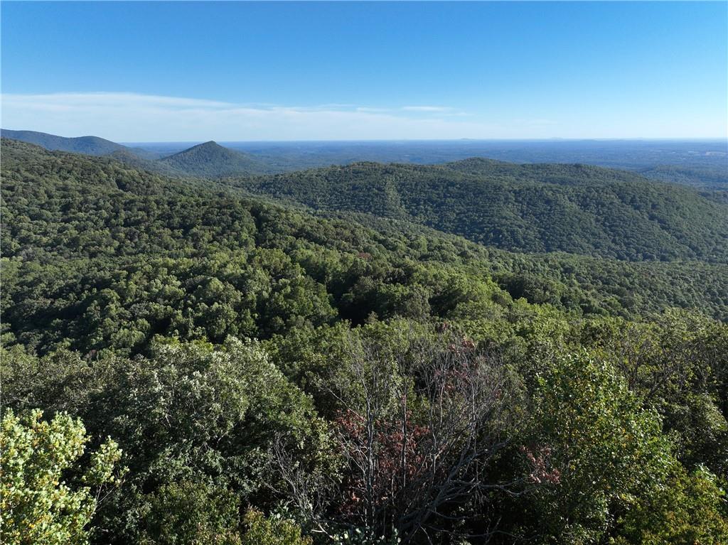 256 Blood Root Trail, Ellijay, Georgia image 41