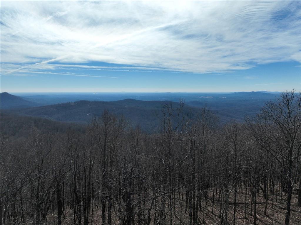 256 Blood Root Trail, Ellijay, Georgia image 10