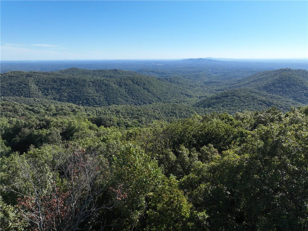 256 Blood Root Trail, Ellijay, Georgia image 49