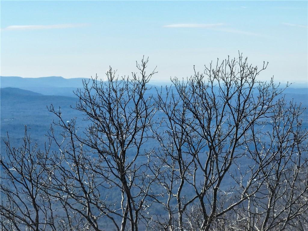 256 Blood Root Trail, Ellijay, Georgia image 38