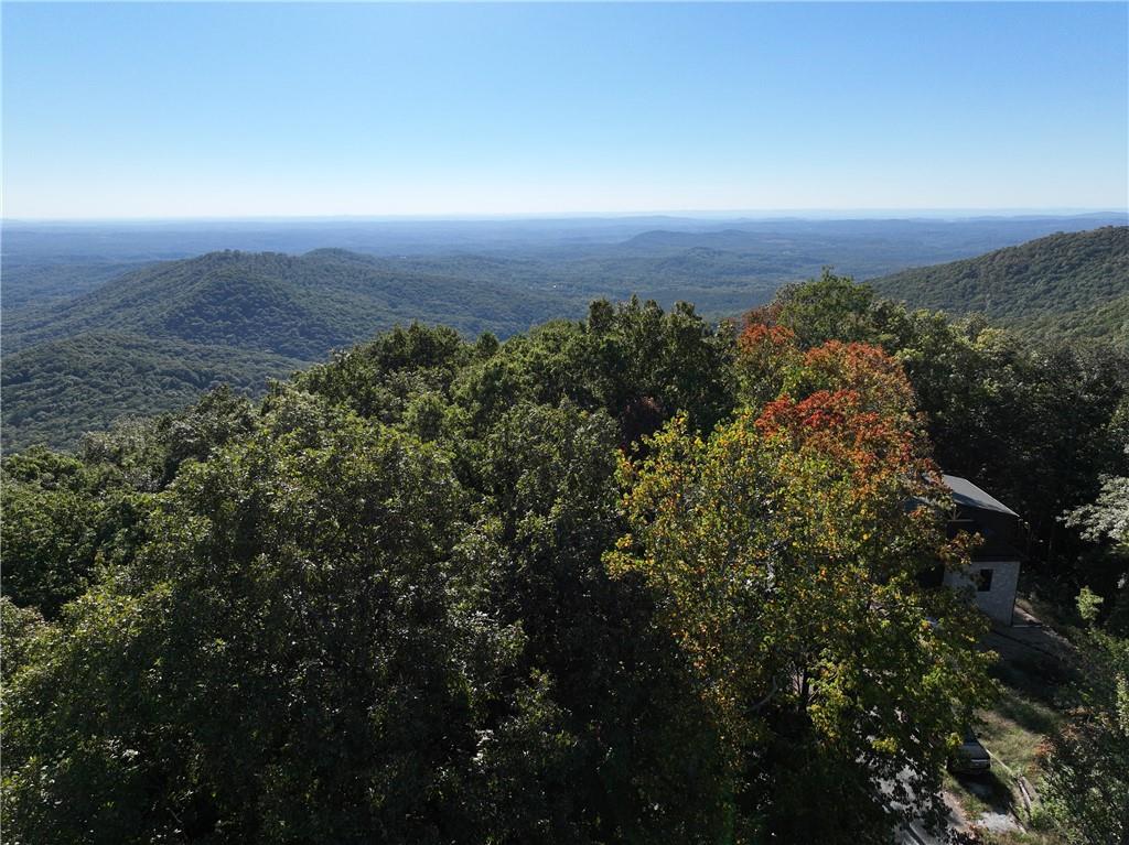 256 Blood Root Trail, Ellijay, Georgia image 44