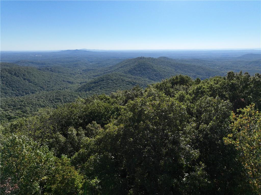 256 Blood Root Trail, Ellijay, Georgia image 43