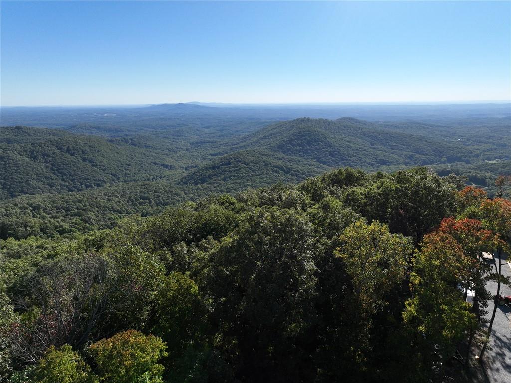 256 Blood Root Trail, Ellijay, Georgia image 48