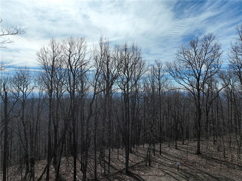 256 Blood Root Trail, Ellijay, Georgia image 13