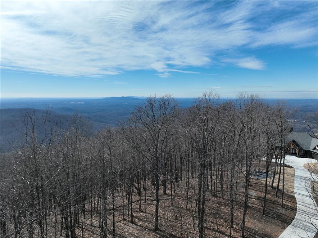 256 Blood Root Trail, Ellijay, Georgia image 8