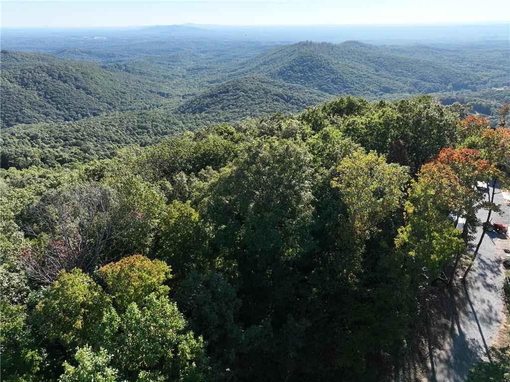 256 Blood Root Trail, Ellijay, Georgia image 47