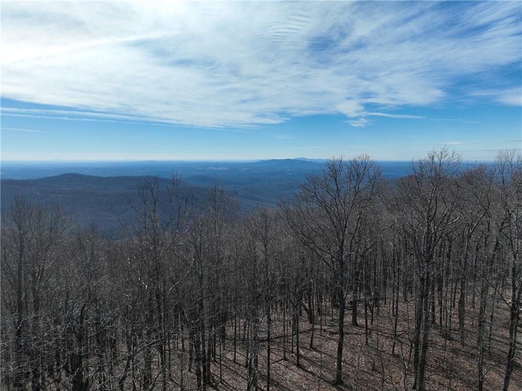 256 Blood Root Trail, Ellijay, Georgia image 9