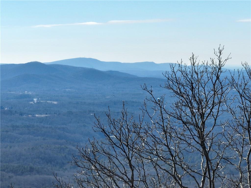 256 Blood Root Trail, Ellijay, Georgia image 39