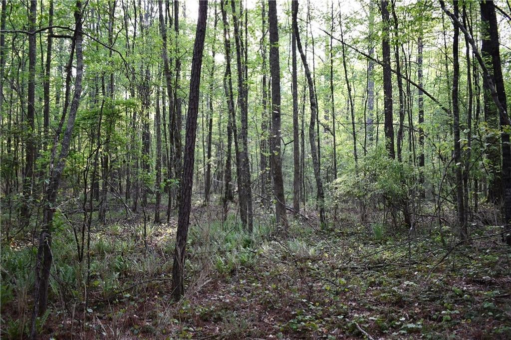 00004 Windridge Lane