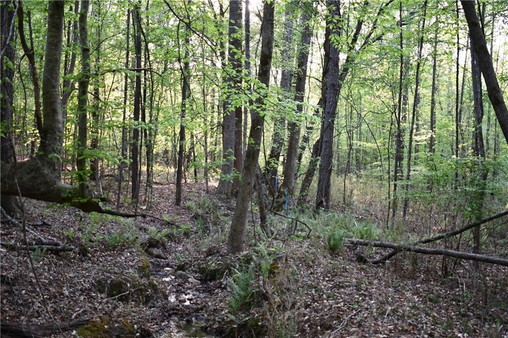 00004 Windridge Lane