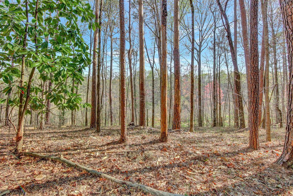 371 Kite Lake Road, Fayetteville, Georgia image 13