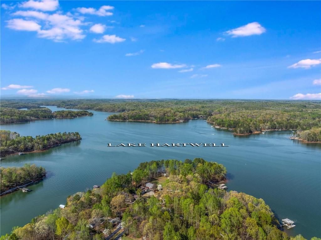 375 Rue Cezzan, Lavonia, Georgia image 13