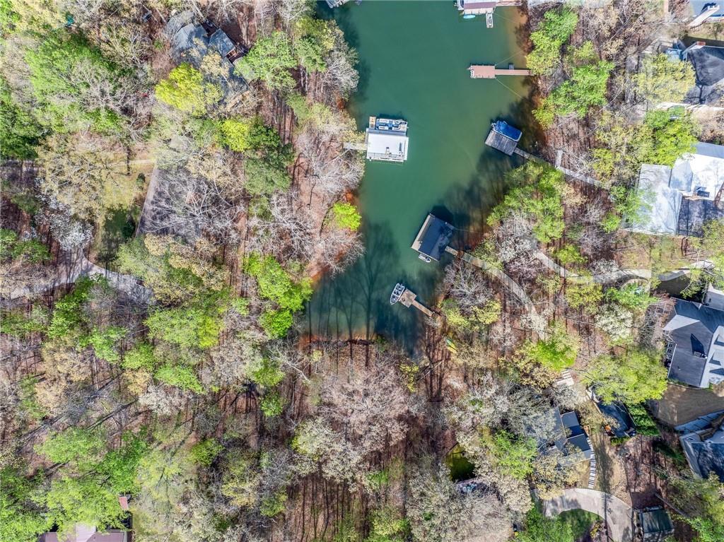 375 Rue Cezzan, Lavonia, Georgia image 9