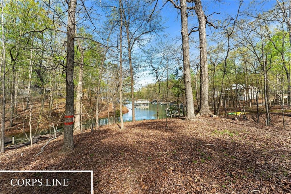 375 Rue Cezzan, Lavonia, Georgia image 10