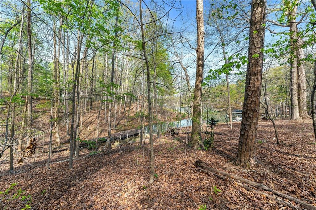 375 Rue Cezzan, Lavonia, Georgia image 15