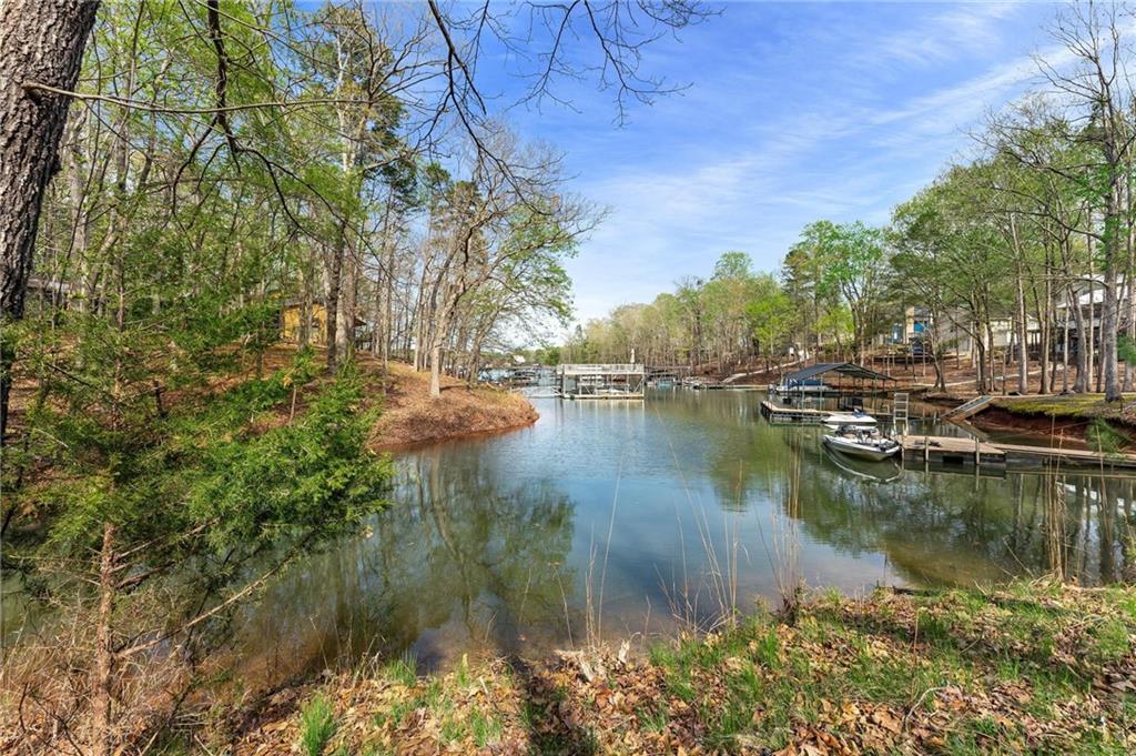 375 Rue Cezzan, Lavonia, Georgia image 11