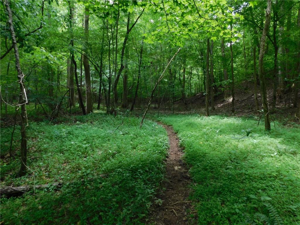 Crest View Drive, Dahlonega, Georgia image 19